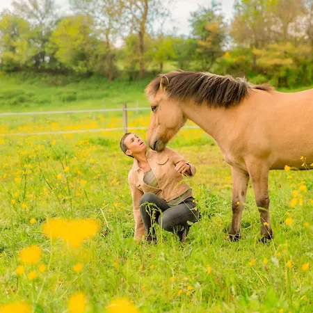 La Clairiere De Peylenc - Refuge En Velay