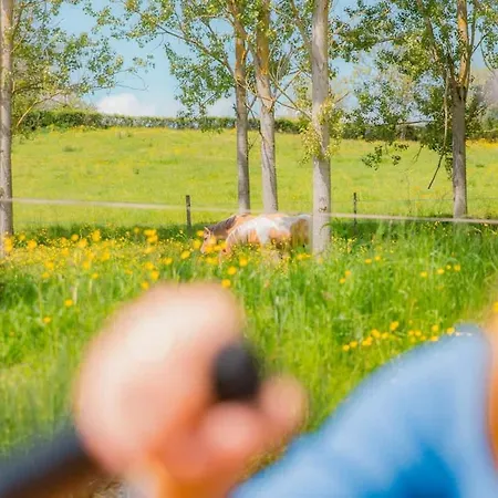 Prázdninový dům La Clairiere De Peylenc - Refuge En Velay