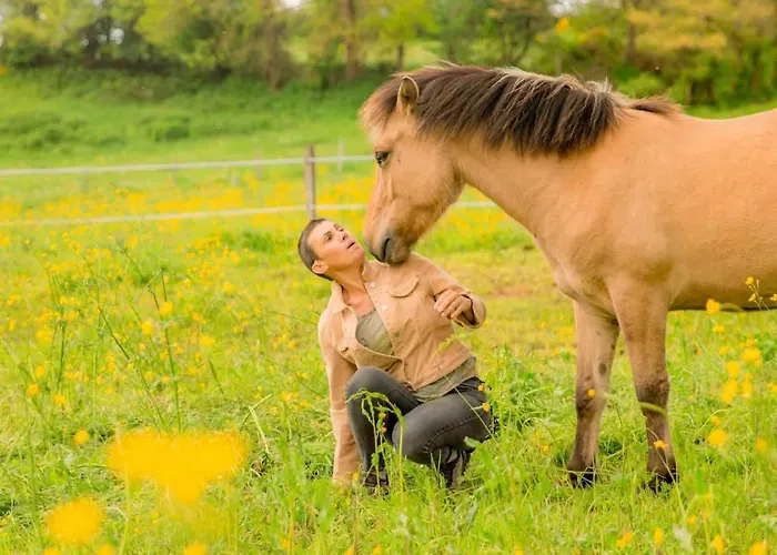 La Clairiere De Peylenc - Refuge En Velay
