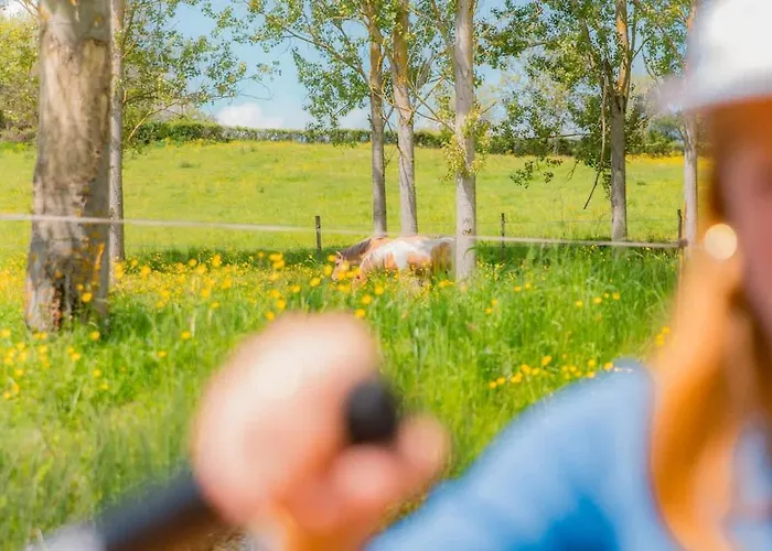 Дом отдыха La Clairiere De Peylenc - Refuge En Velay